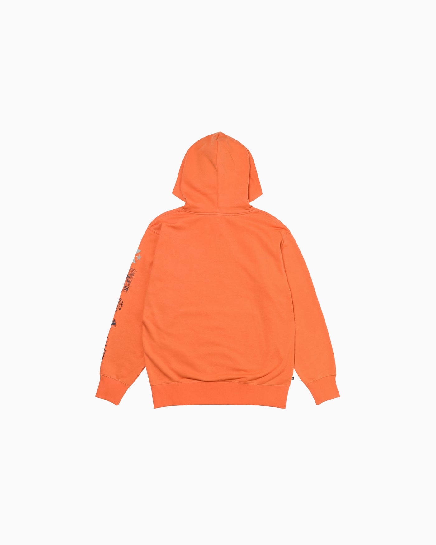 VERTICAL PT SW HOODIE MENS